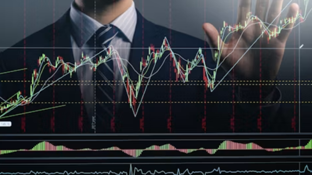 An Investor Portfolio